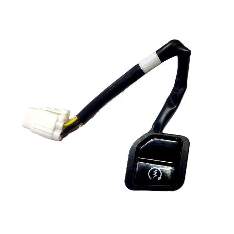 Self Start Modular Switch Suzuki Access 125 BS6 (SW-0998A-M01)