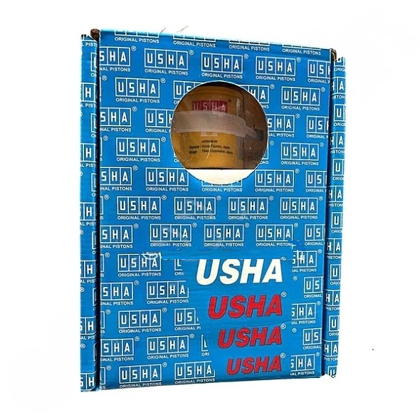 Usha Piston Cylinder Kit TVS Scooty Pep Plus Streak Engine Block