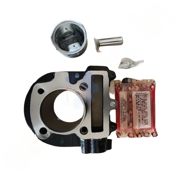Usha Piston Cylinder Kit TVS Scooty Pep Plus Streak Engine Block